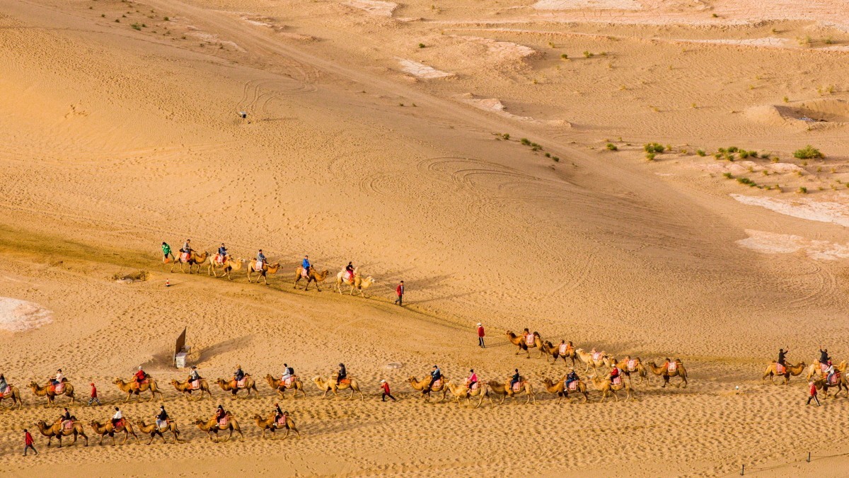 外出随拍（续208）.