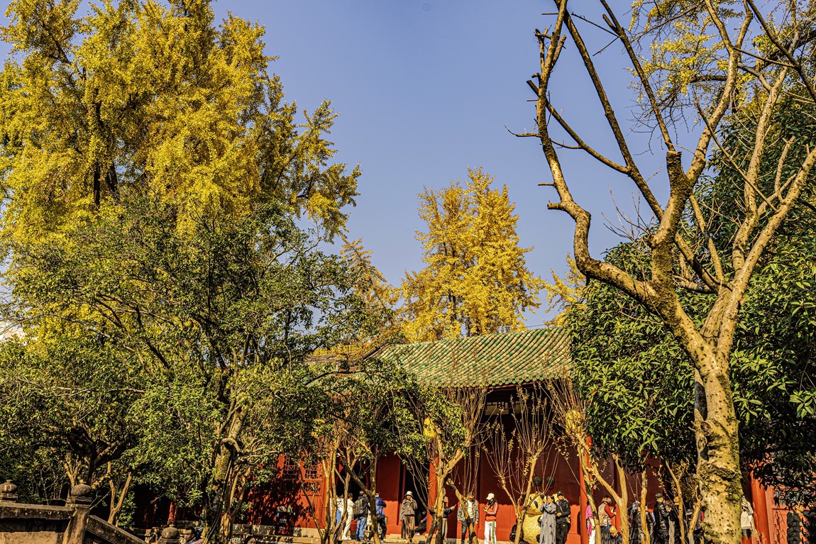 四川成都--崇州--罨画池秋色【4】