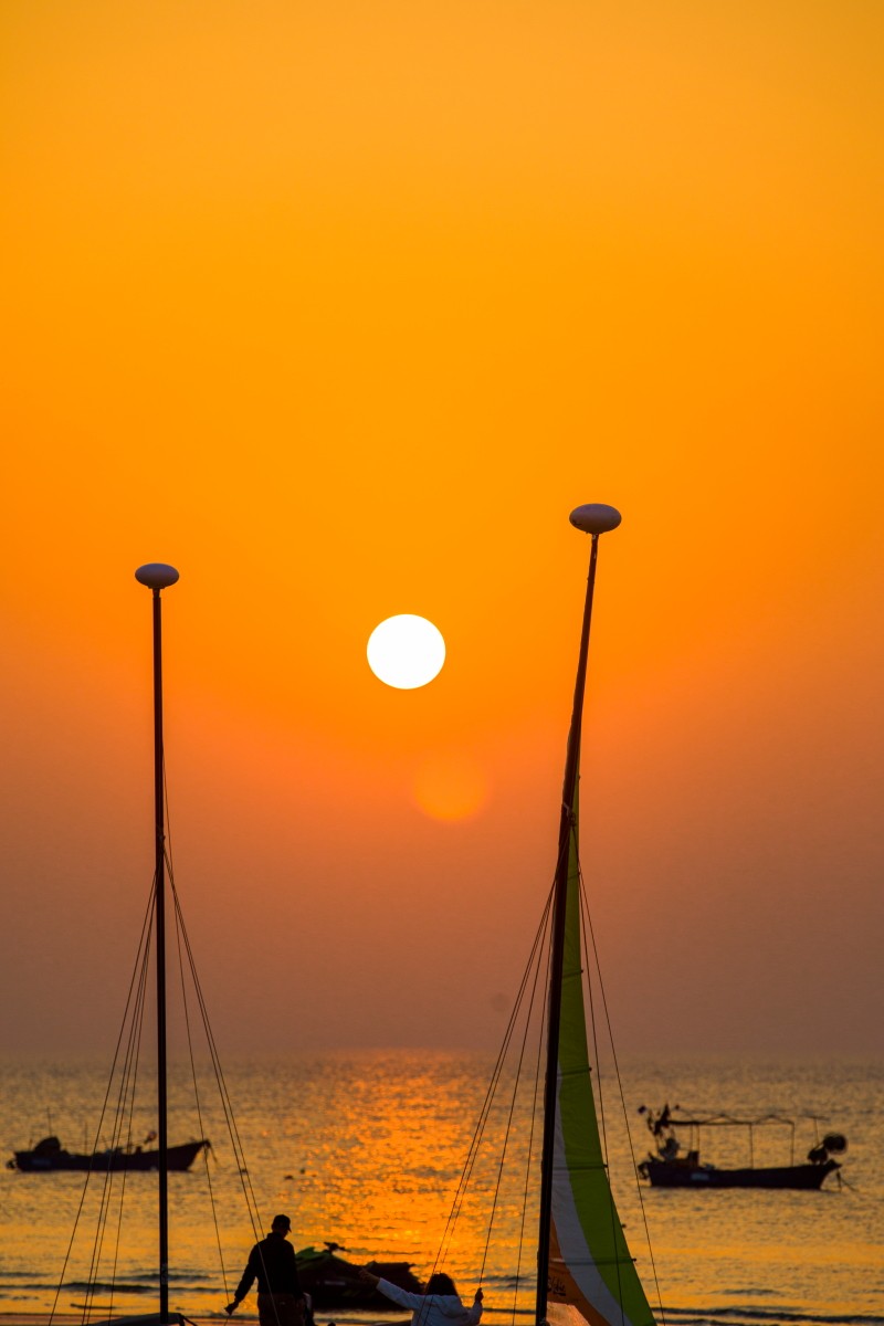 外出随拍（续386）.