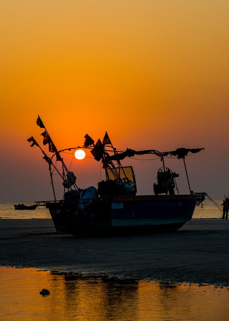 外出随拍（续386）.