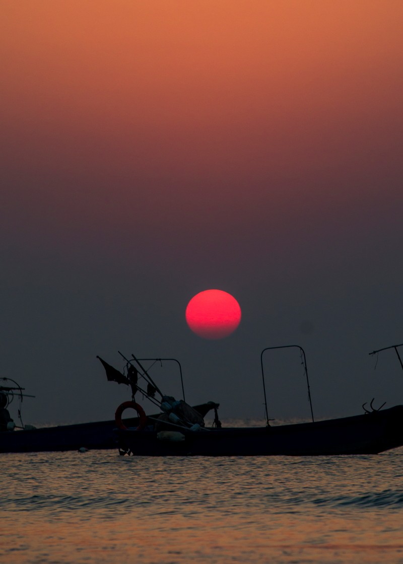 外出随拍（续386）.