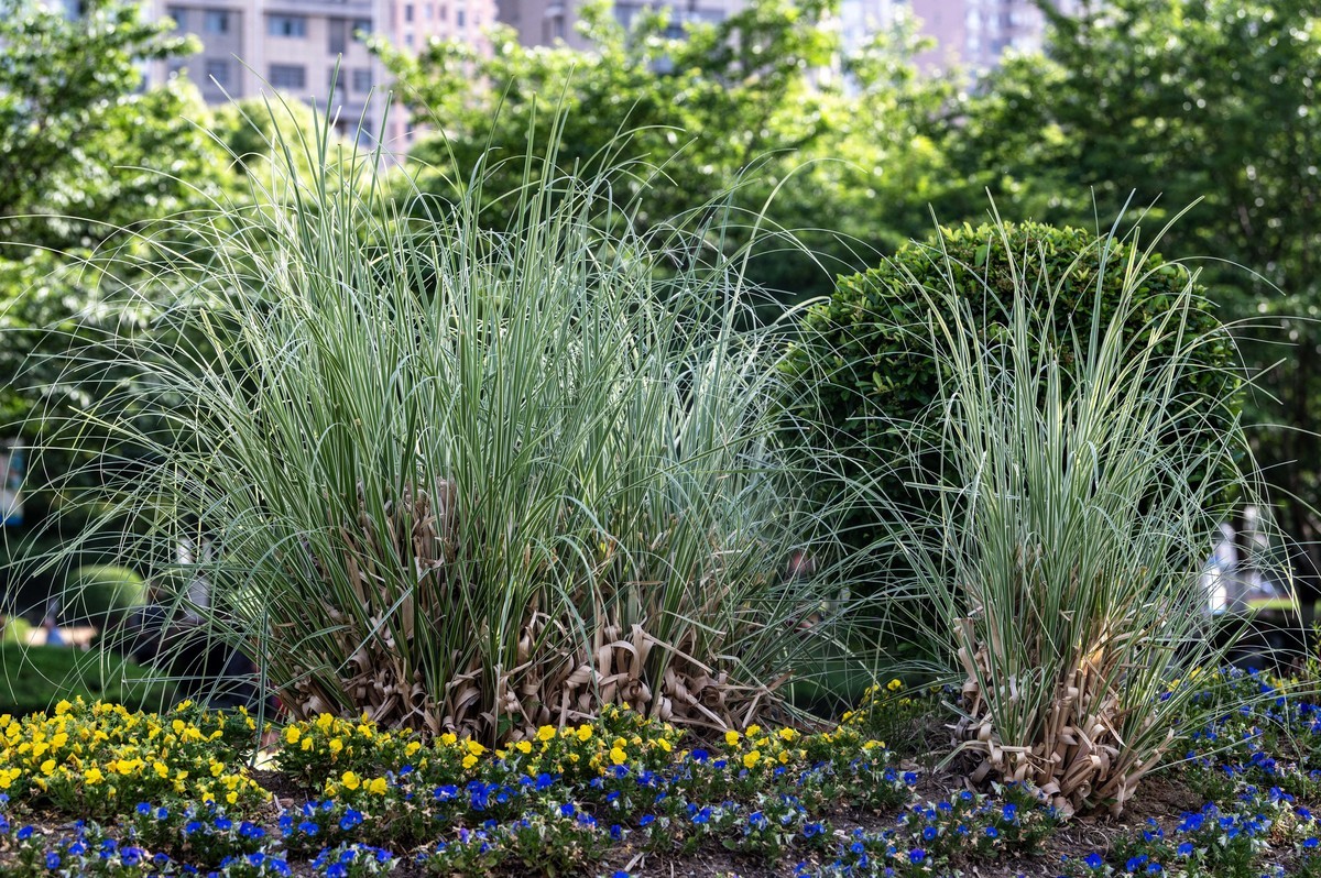 庐州印象（458）和平廣場