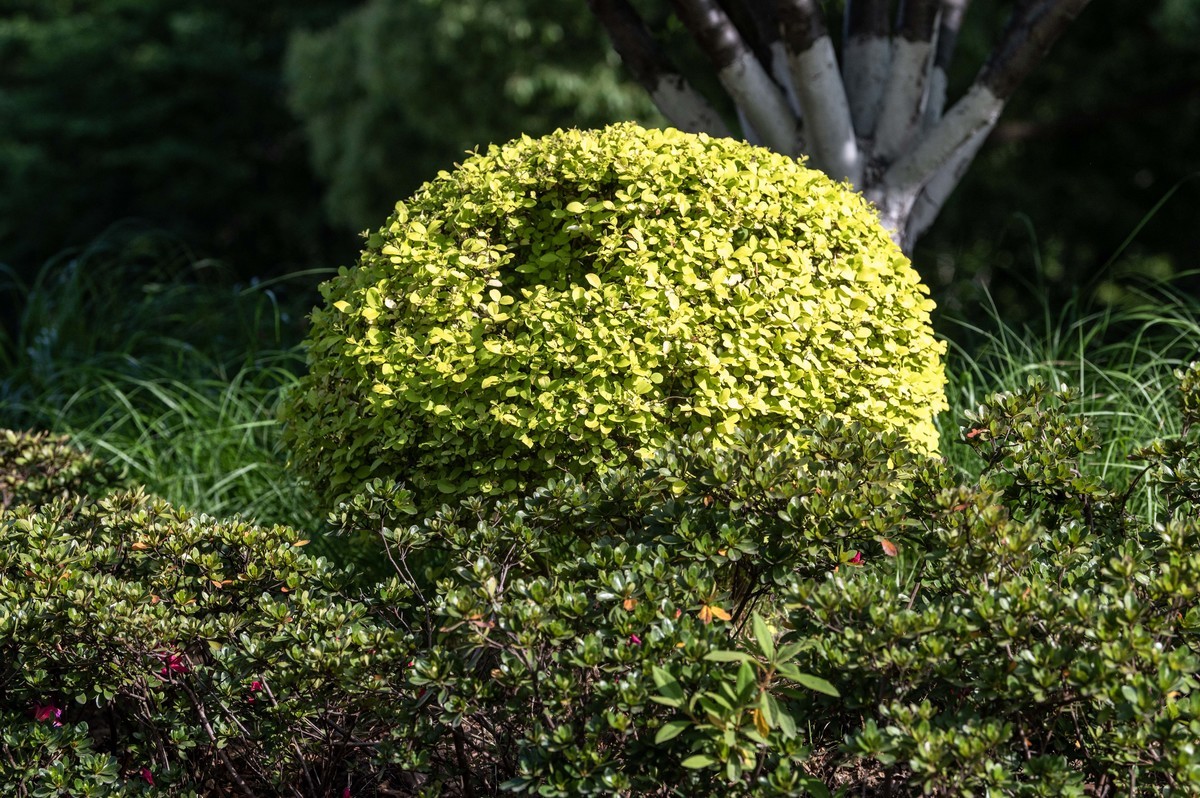 庐州印象（458）和平廣場