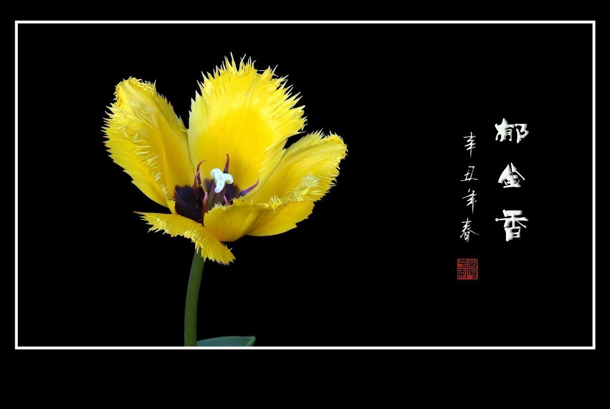 #版主坐堂#小五星空(中国)2022年2月精品荟萃