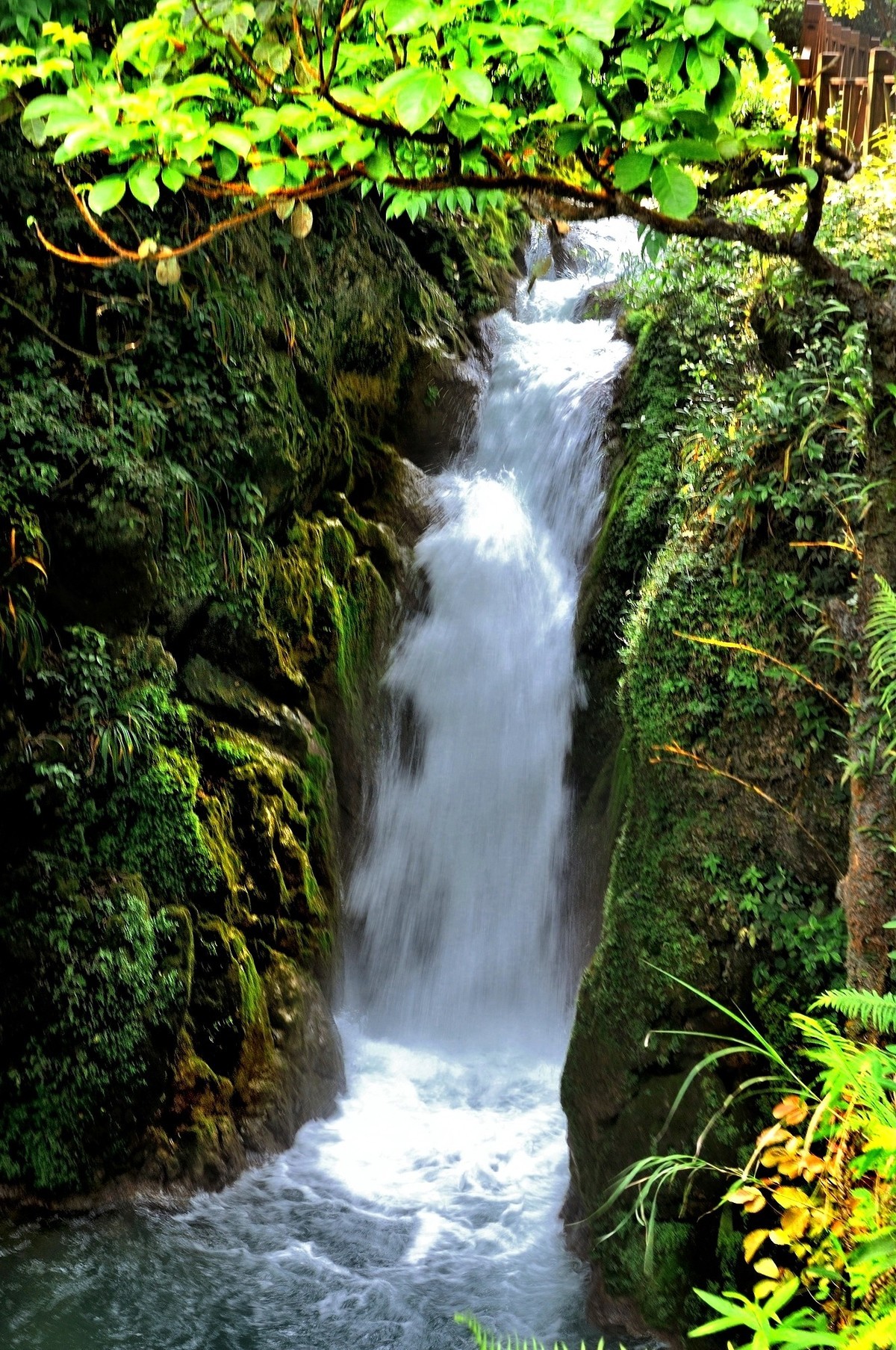 游拍纪实山涧溪水
