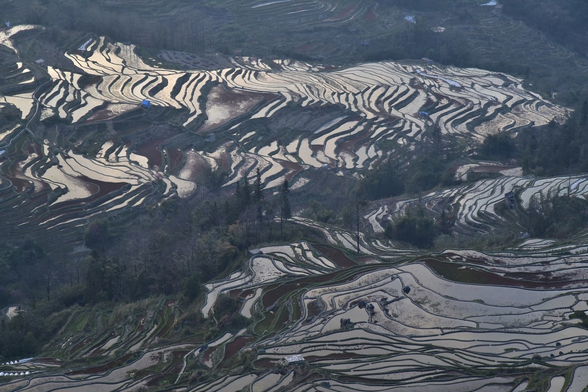 元阳梯田 2
