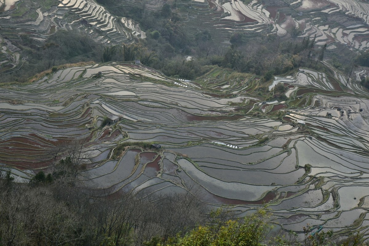 元阳梯田 2