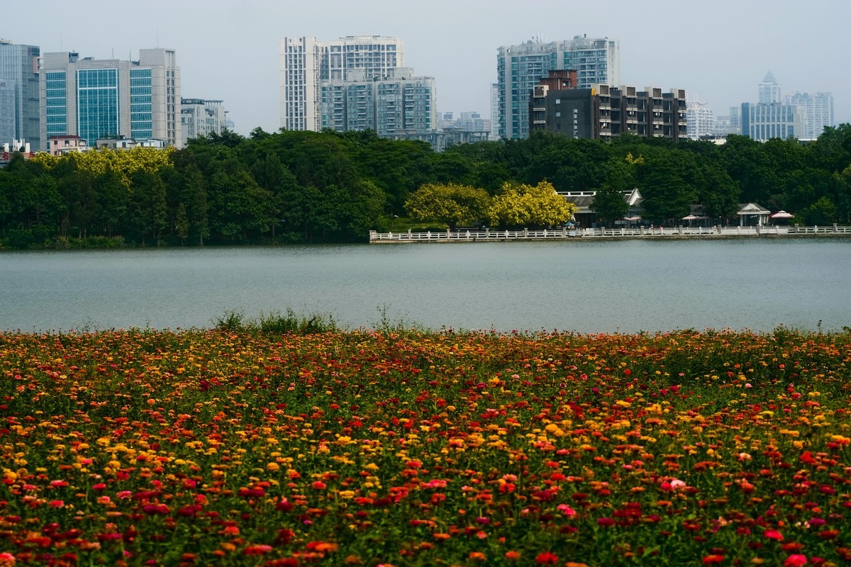 海珠湖公园（一）