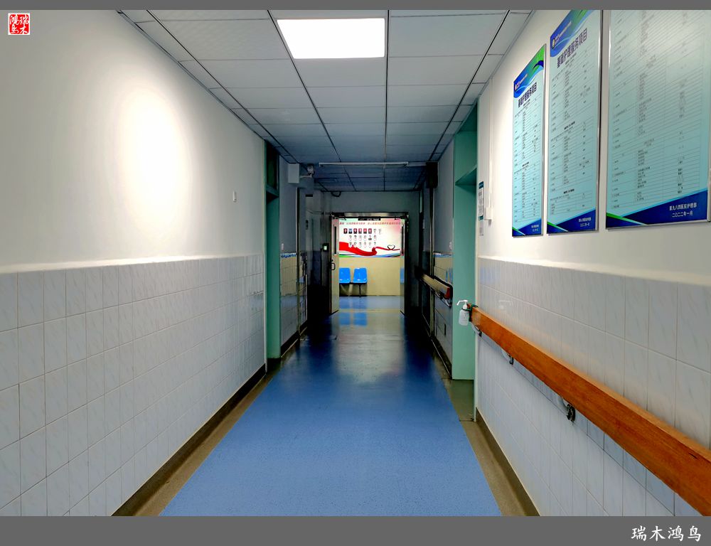 【手机随拍】解放军九八四医院掠影