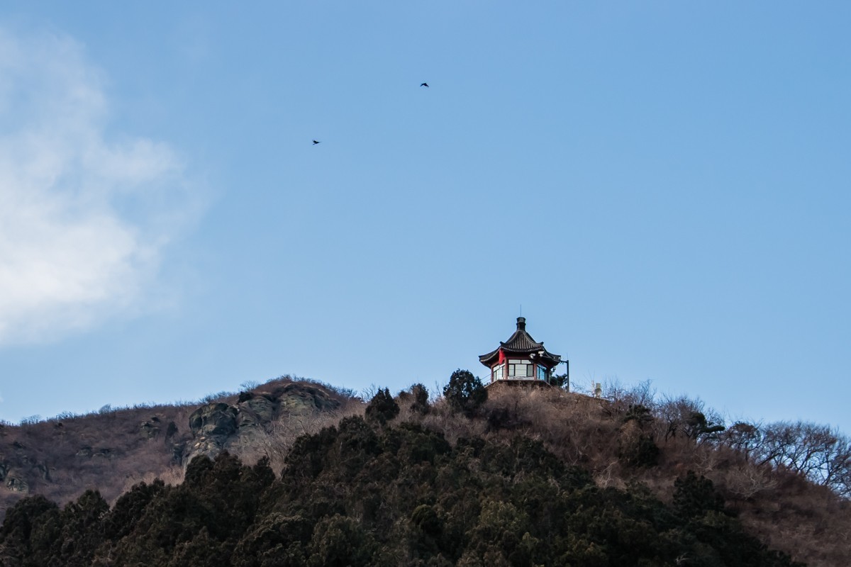 【镜头里】第1388号：2023春节·北京八大处公园随拍（一）