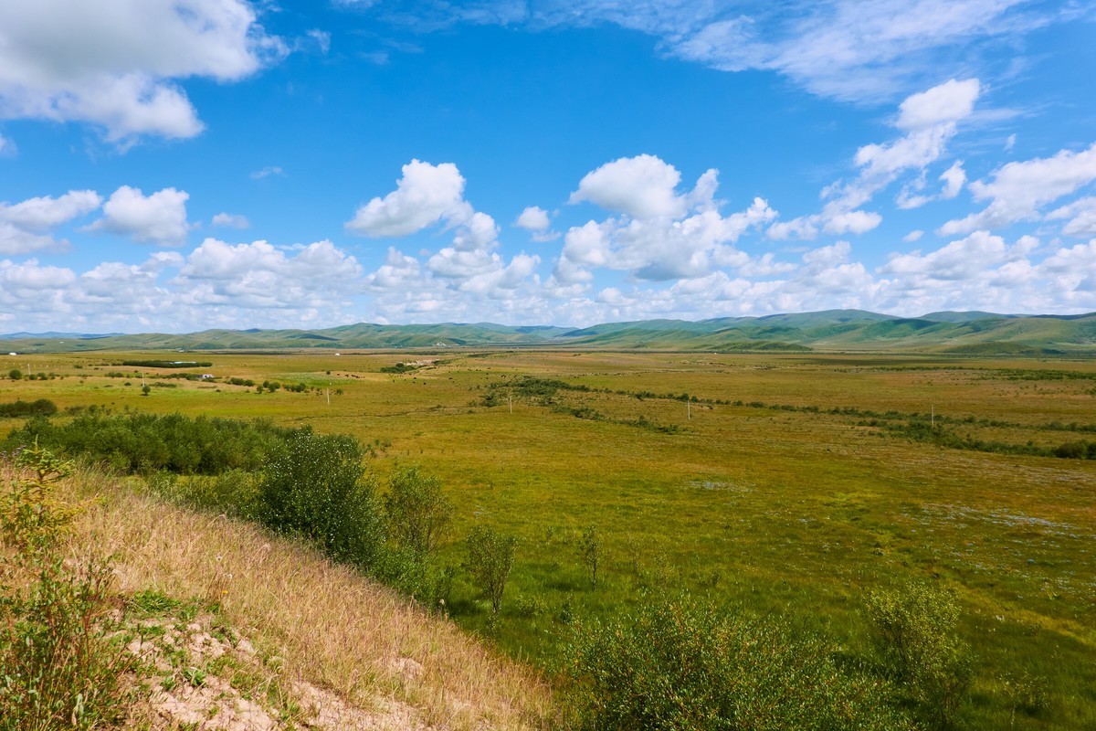 美丽的红原和桑科大草原
