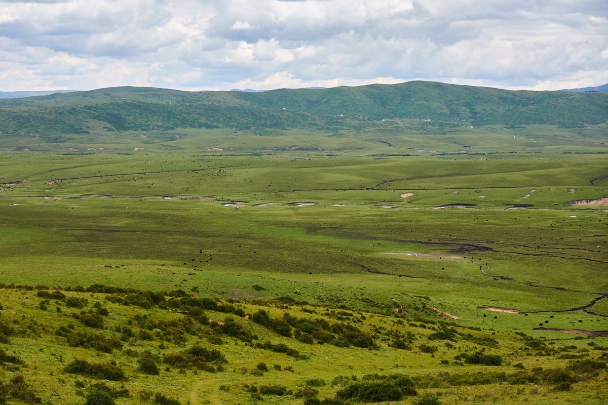 美丽的红原和桑科大草原