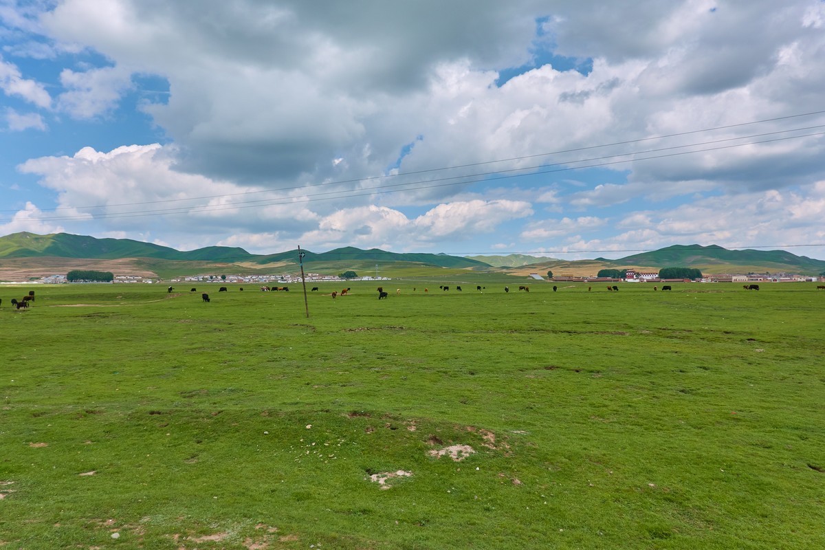 美丽的红原和桑科大草原