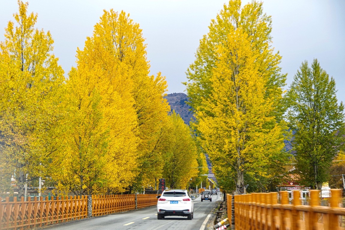 金秋川西--甲根坝【13】