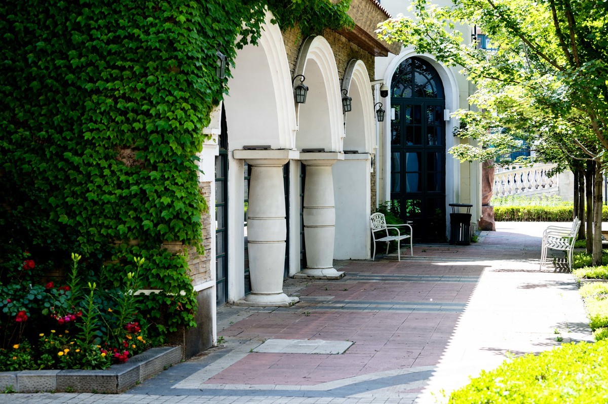 庐州印象（334）