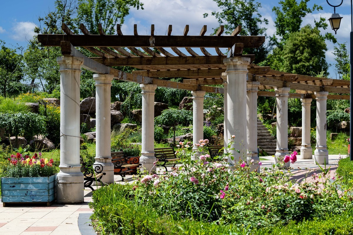 庐州印象（336）