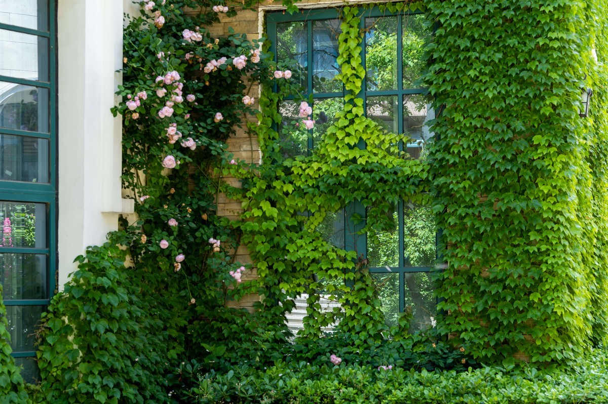 庐州印象（336）