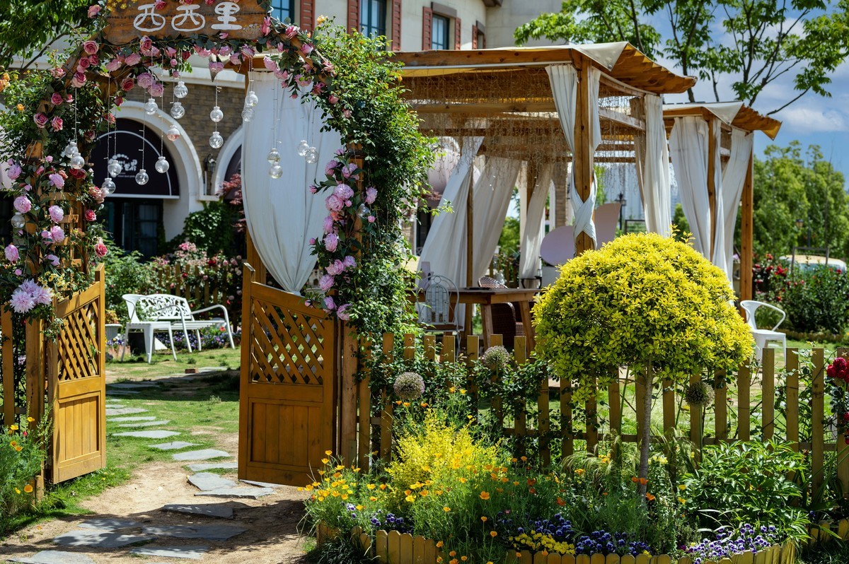 庐州印象（336）