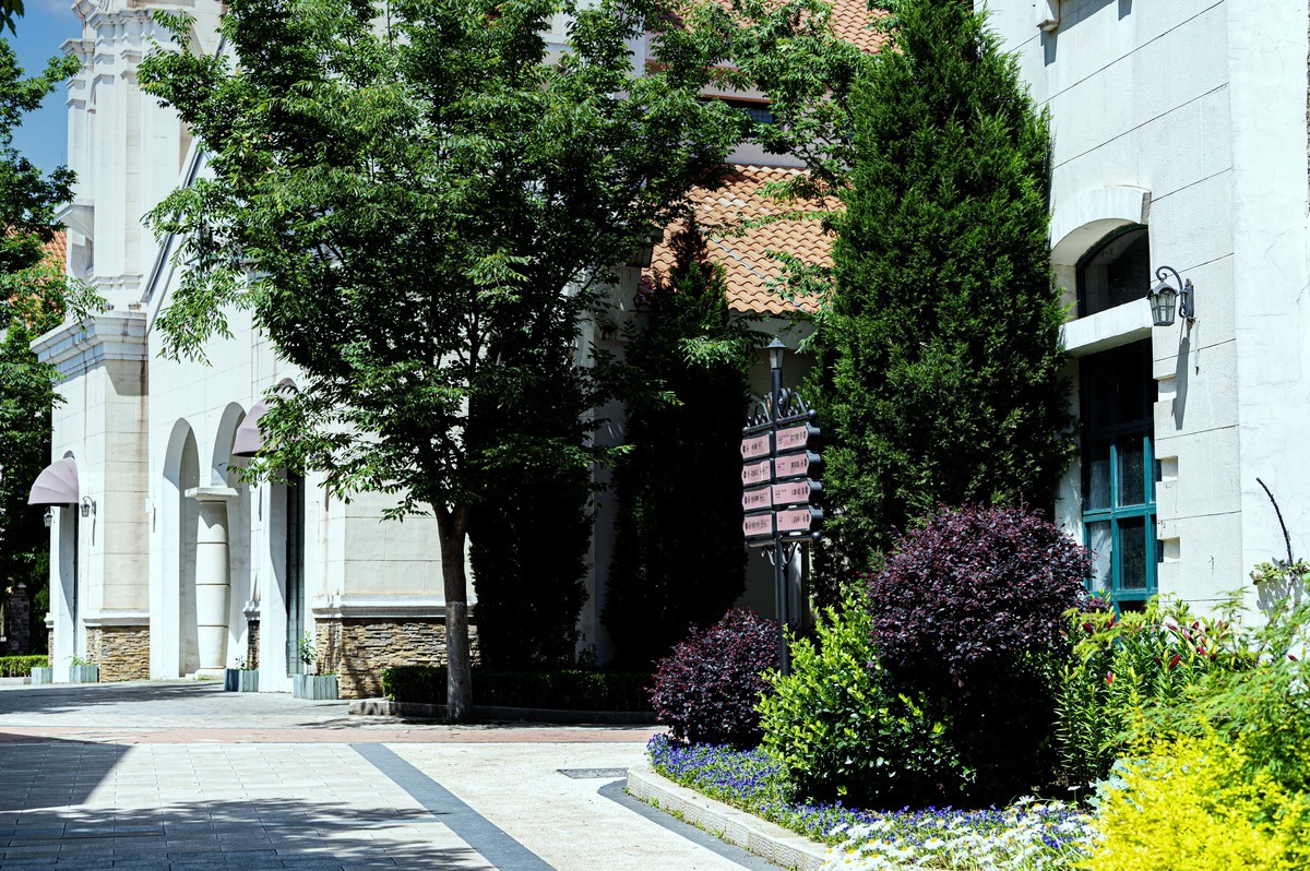 庐州印象（336）