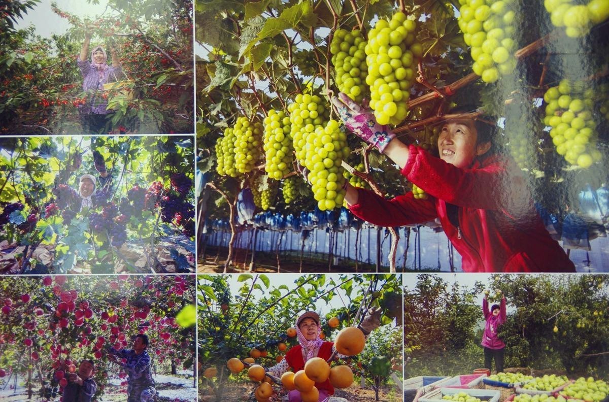 蓬莱历史文化街区游记