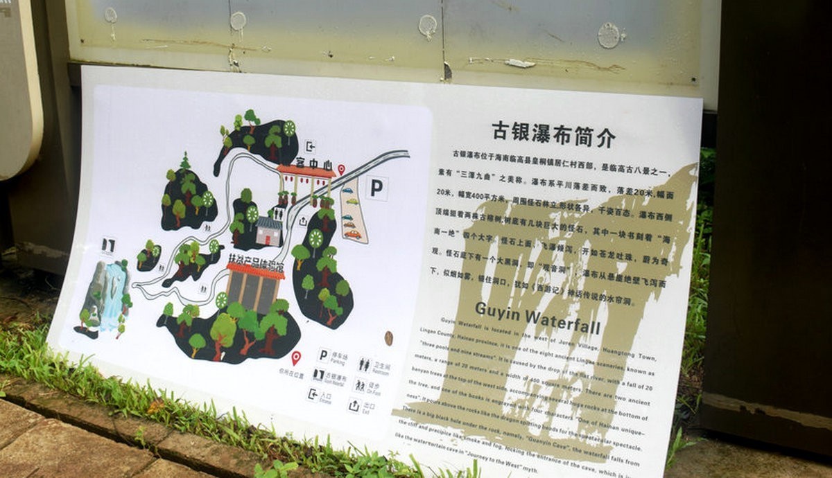 2024夏 海南环岛行（160）瀑布旁边的橡胶林