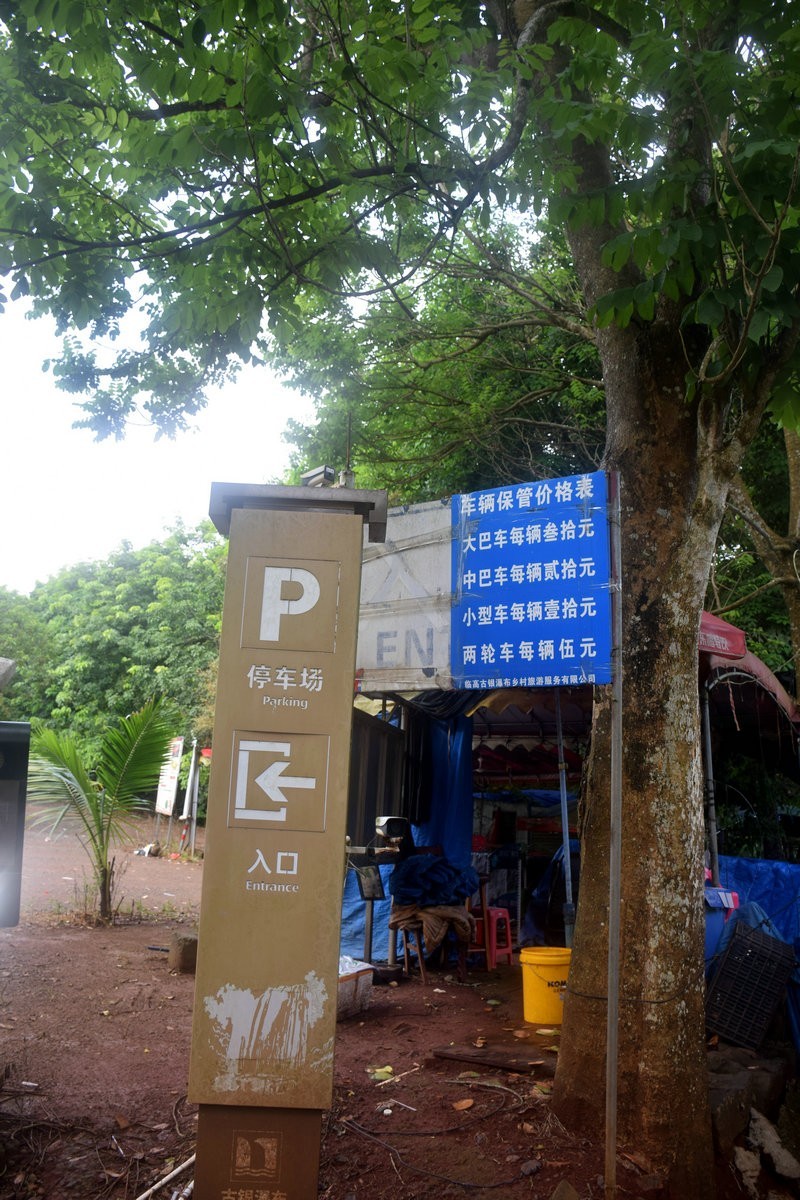 2024夏 海南环岛行（160）瀑布旁边的橡胶林