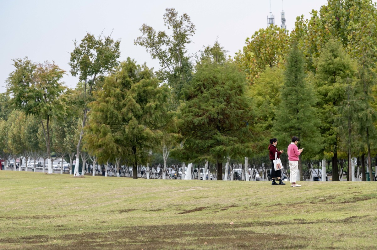庐州印象（397）环湖北路岸上草原