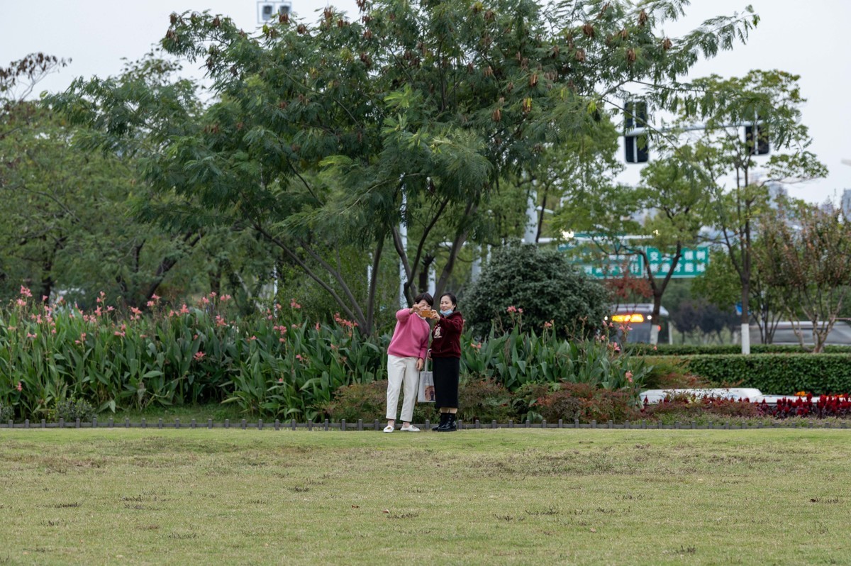 庐州印象（397）环湖北路岸上草原