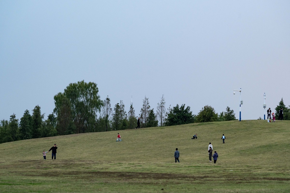 庐州印象（397）环湖北路岸上草原