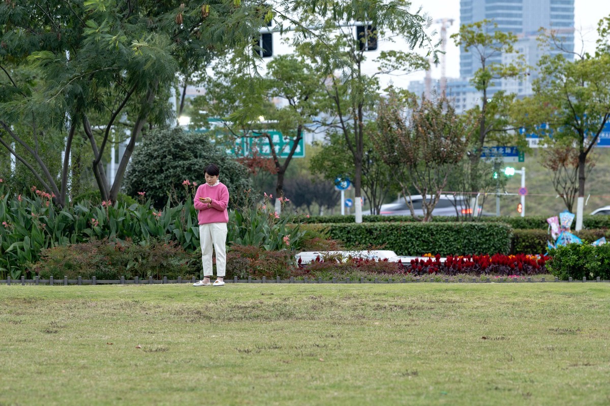 庐州印象（397）环湖北路岸上草原