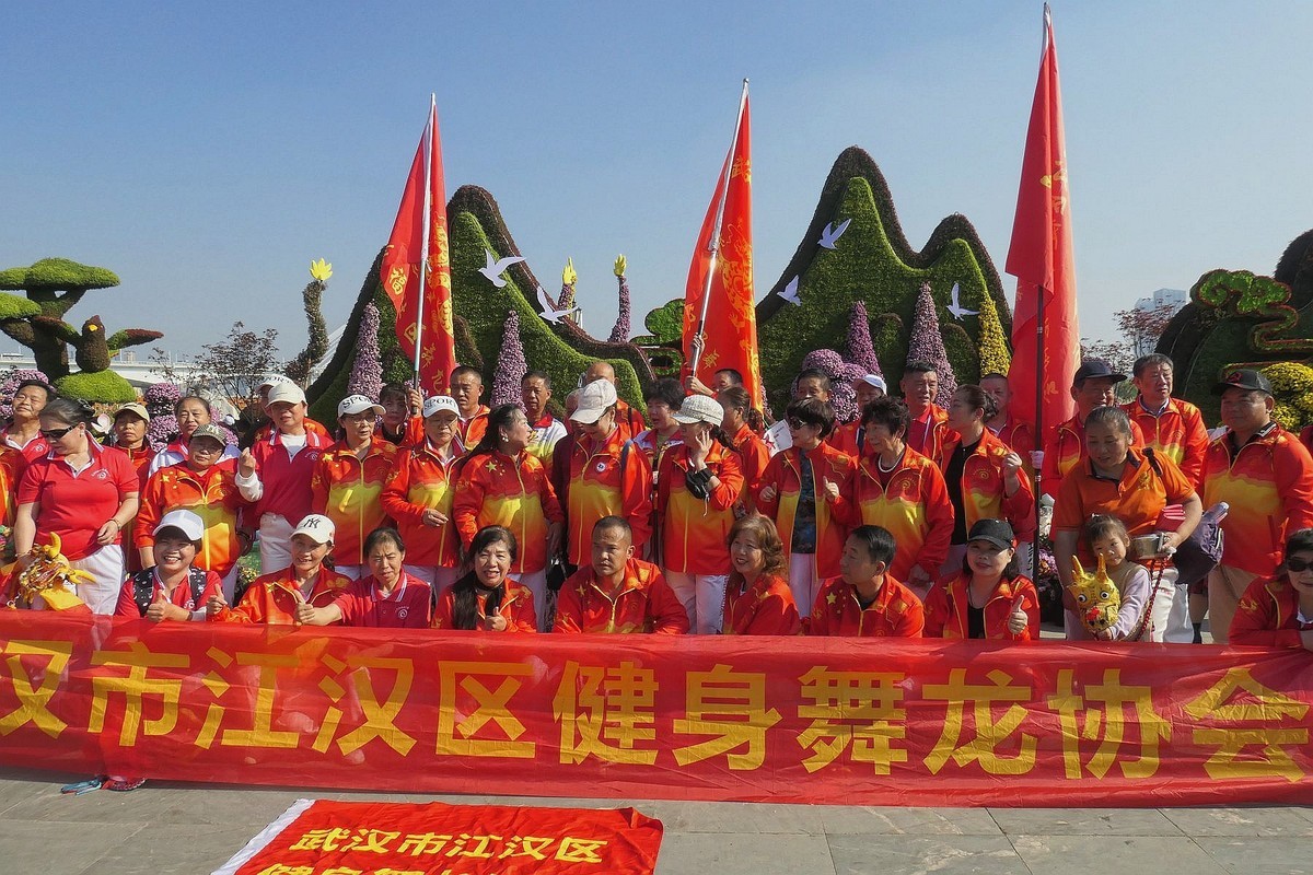 武汉江滩菊花展四（续完）