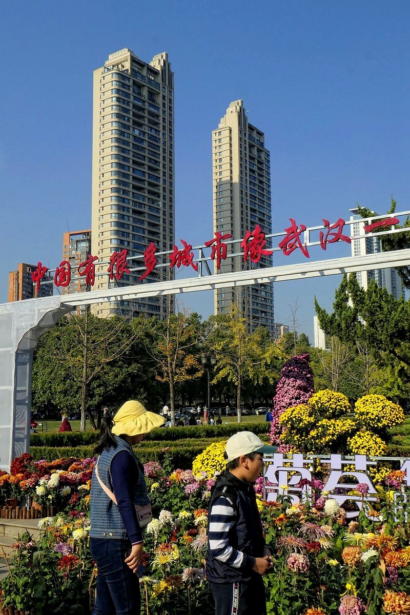 武汉江滩菊花展四（续完）