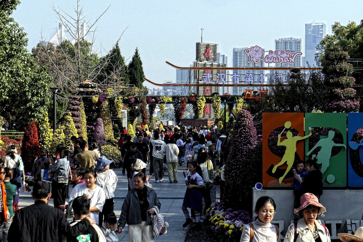 武汉江滩菊花展四（续完）