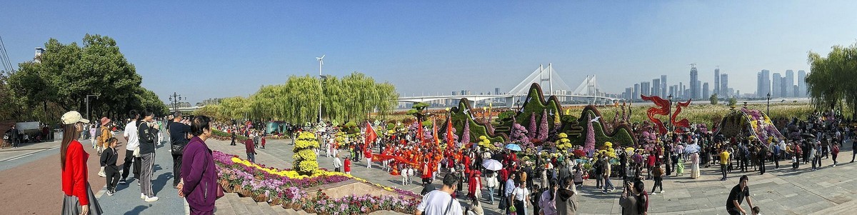 武汉江滩菊花展四（续完）