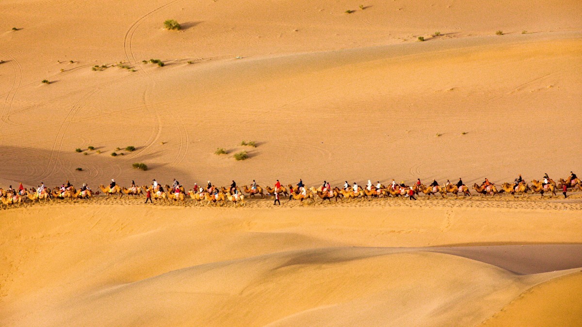 外出随拍（续208）.