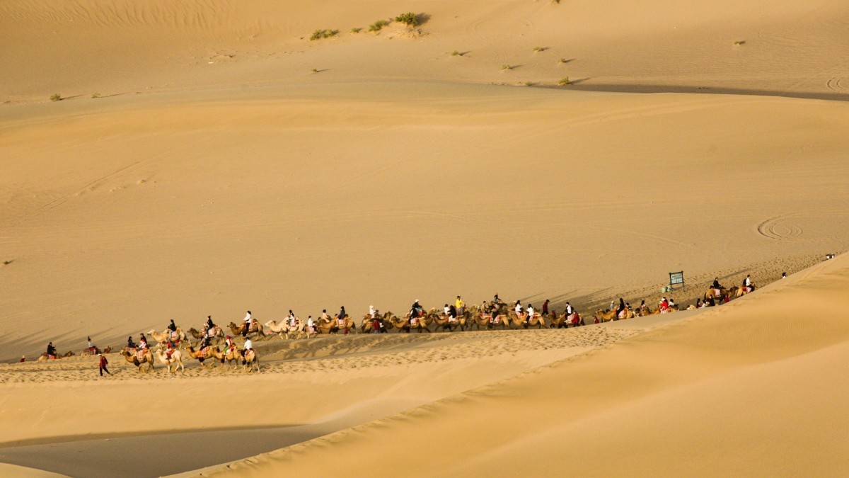 外出随拍（续208）.