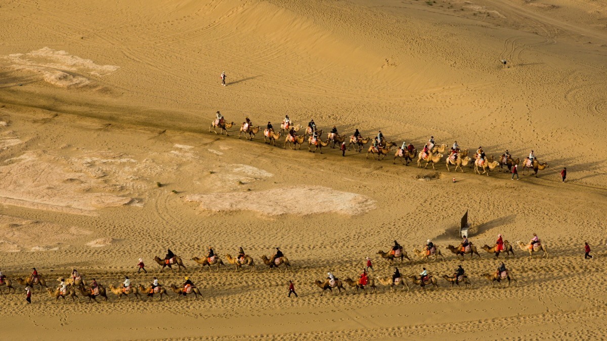 外出随拍（续208）.