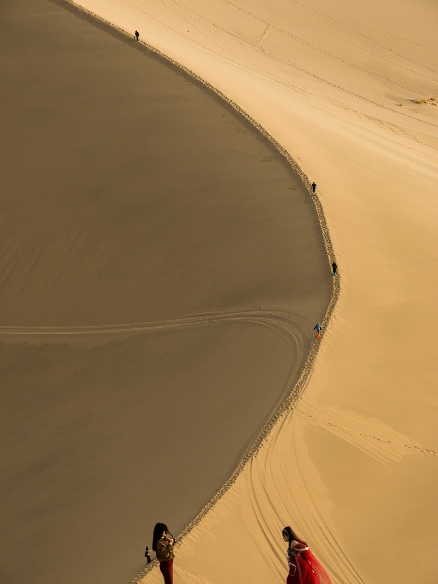 外出随拍（续208）.