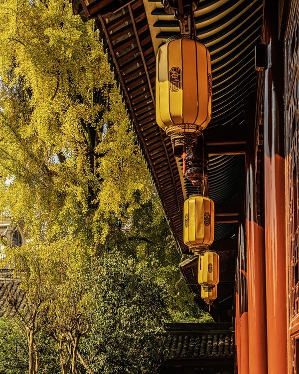 四川成都--崇州--罨画池秋色【4】