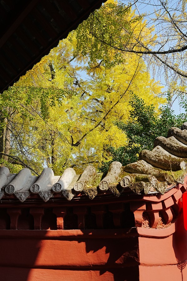 四川成都--崇州--罨画池秋色【4】