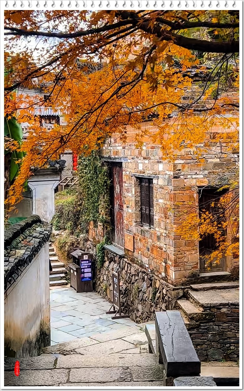 2023年-婺源篁岭抓拍-659