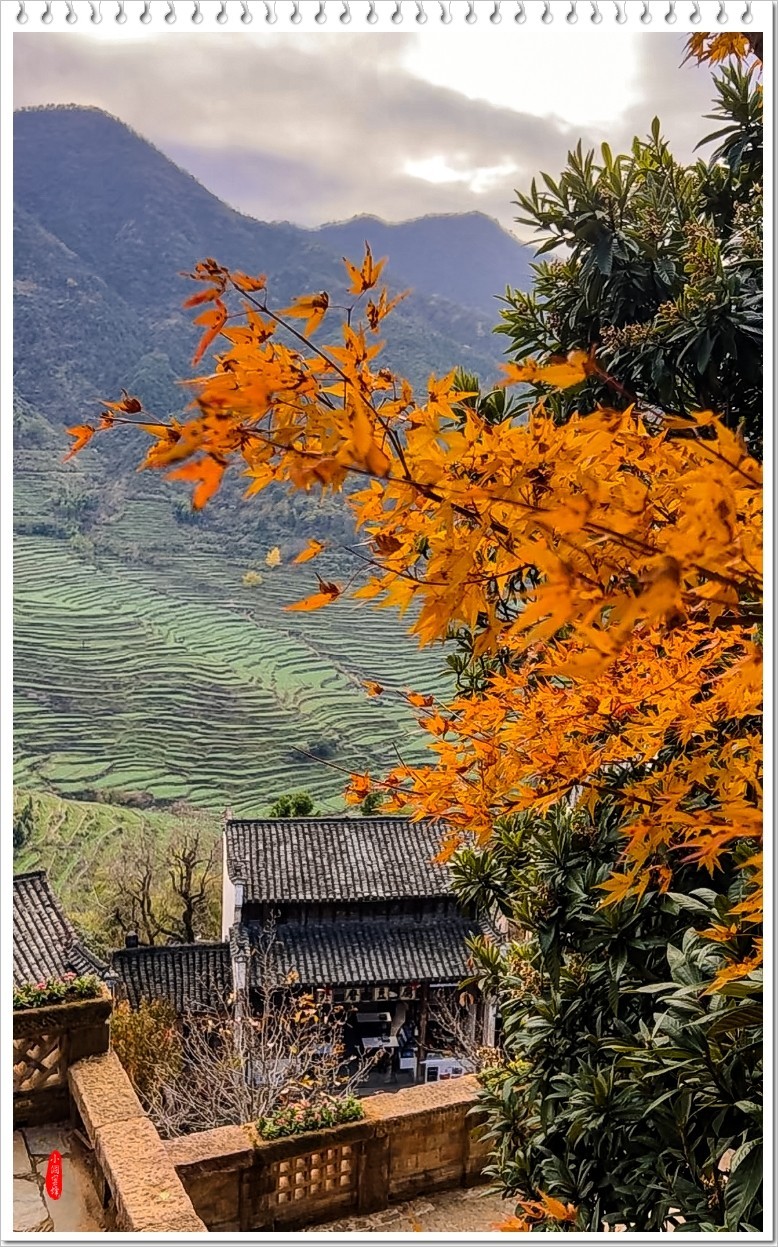 2023年-婺源篁岭抓拍-659
