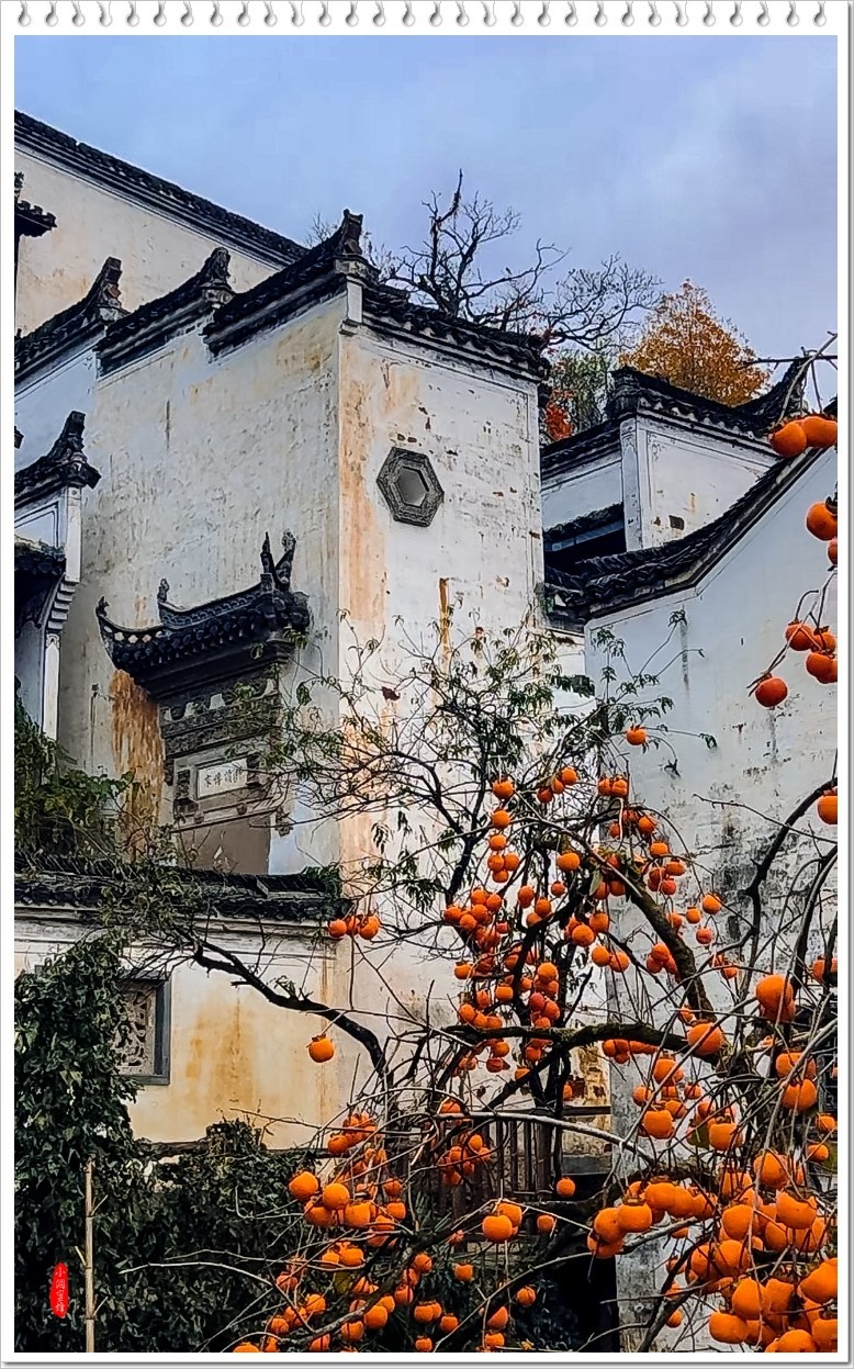 2023年-婺源篁岭抓拍-659