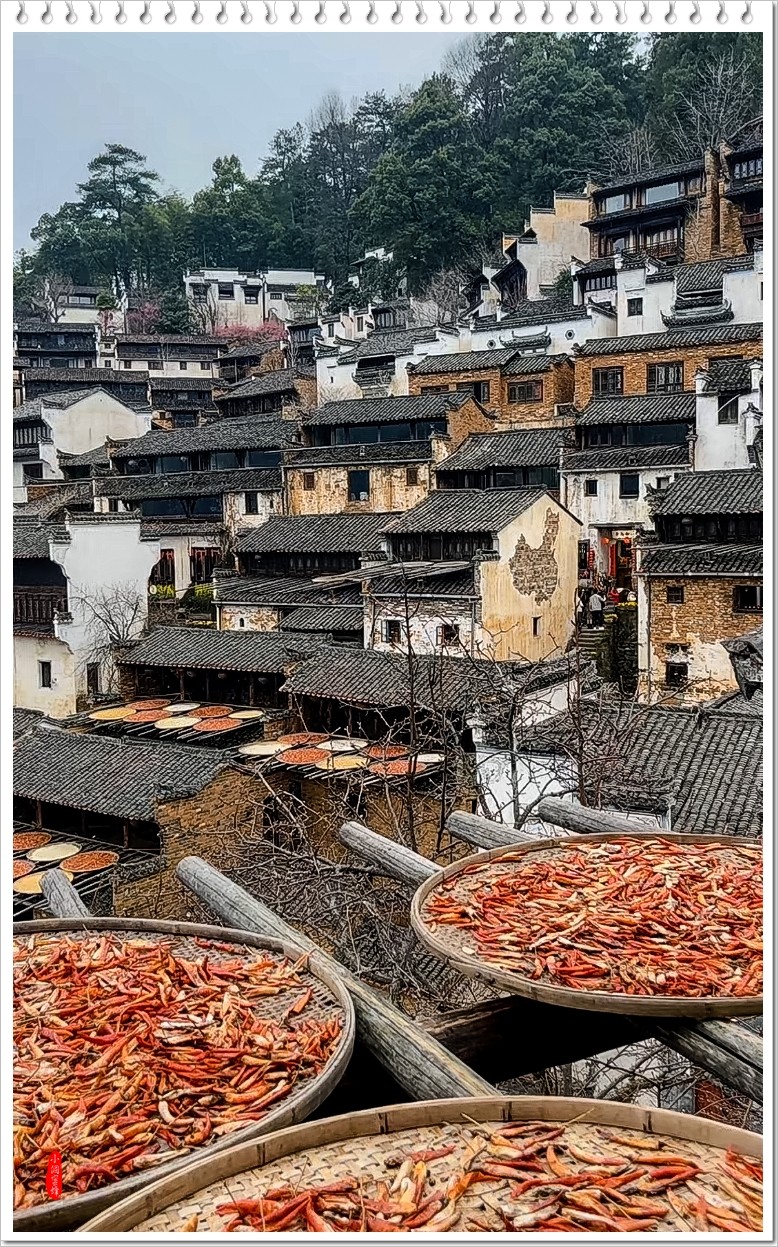 2023年-婺源篁岭抓拍-656