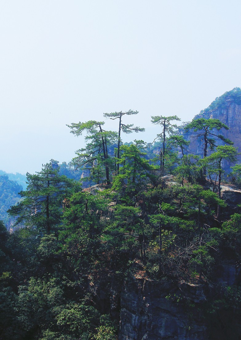 古人晕不会《抓拍美女》就不叫摄影！这是那个古人说的来？这里都不懂历史对吧！