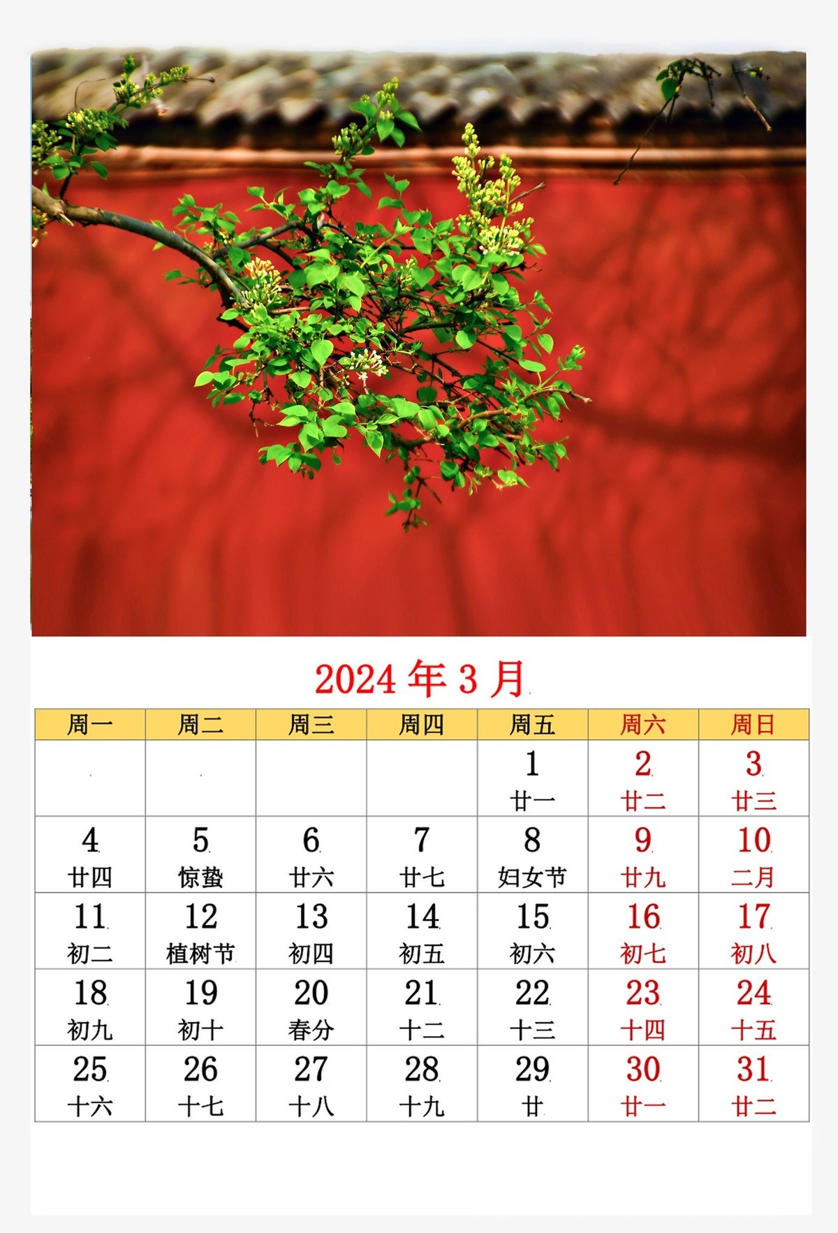 新人报道，用今年拍摄的照片制作的年历