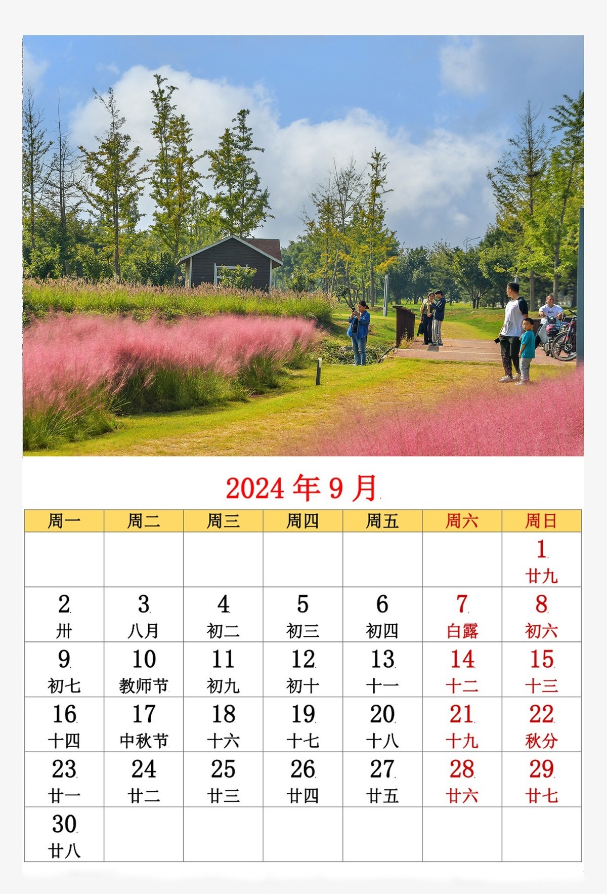 新人报道，用今年拍摄的照片制作的年历