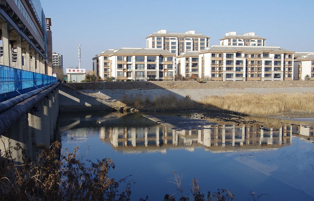 恭祝师友们2024元旦快乐-15P