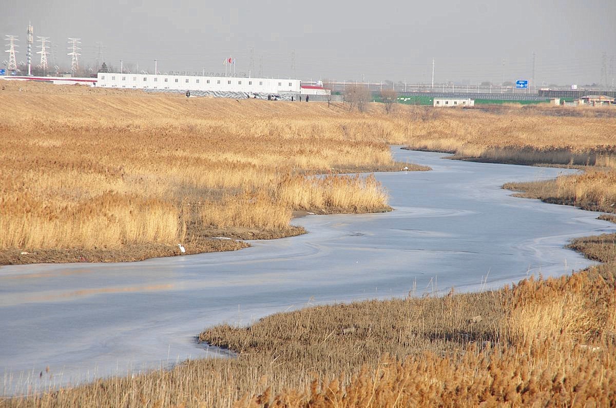 恭祝师友们2024元旦快乐-15P