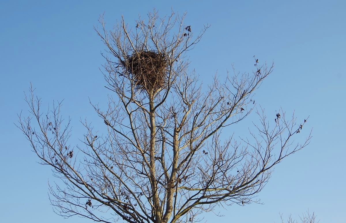 恭祝师友们2024元旦快乐-15P